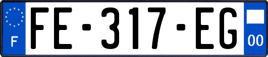 FE-317-EG