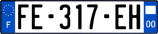 FE-317-EH