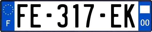 FE-317-EK