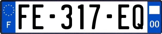 FE-317-EQ
