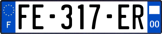 FE-317-ER