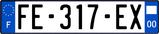 FE-317-EX