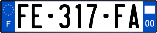 FE-317-FA