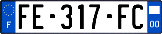 FE-317-FC