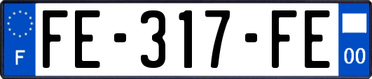 FE-317-FE