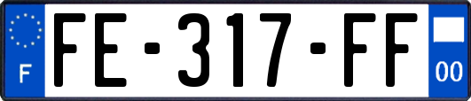 FE-317-FF