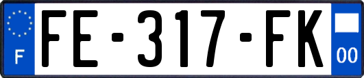 FE-317-FK