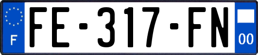 FE-317-FN