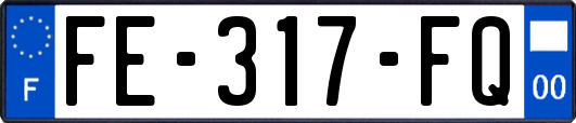 FE-317-FQ