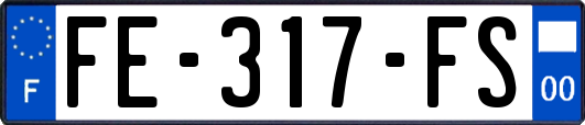 FE-317-FS