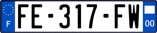 FE-317-FW