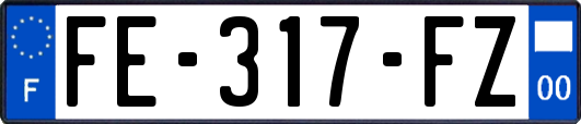 FE-317-FZ
