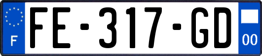 FE-317-GD