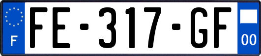 FE-317-GF