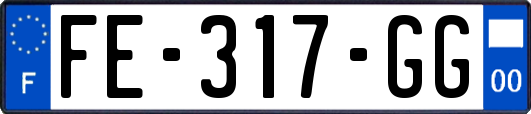 FE-317-GG