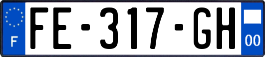 FE-317-GH