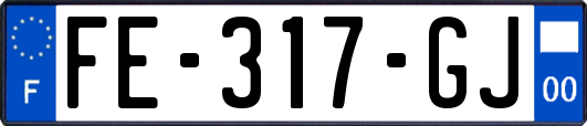 FE-317-GJ