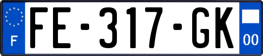 FE-317-GK