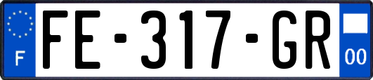 FE-317-GR