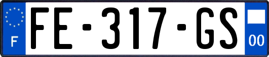 FE-317-GS