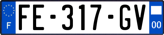 FE-317-GV