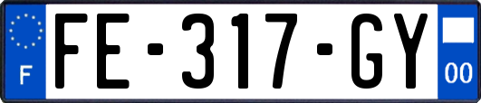 FE-317-GY