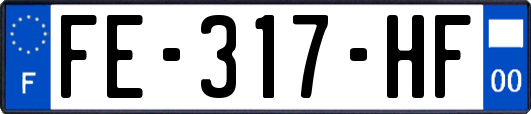 FE-317-HF