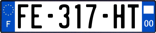 FE-317-HT