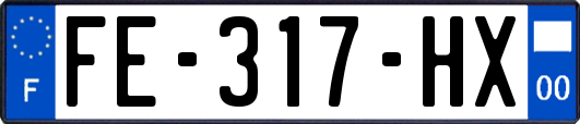 FE-317-HX