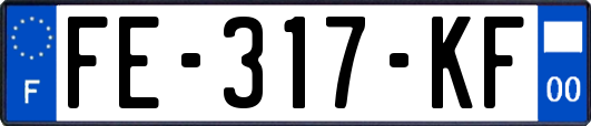 FE-317-KF