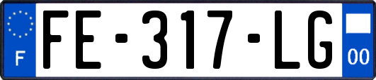 FE-317-LG