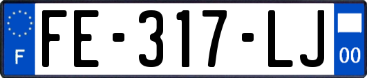 FE-317-LJ