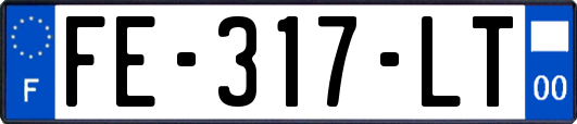 FE-317-LT