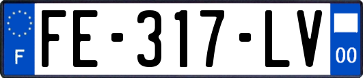 FE-317-LV