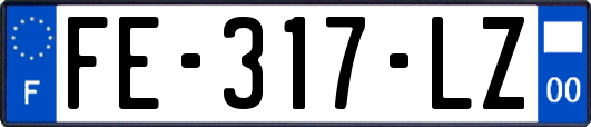 FE-317-LZ