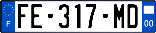 FE-317-MD