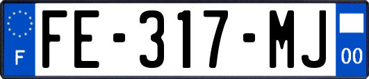 FE-317-MJ