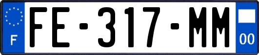 FE-317-MM