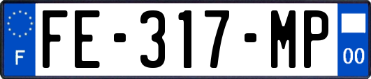 FE-317-MP