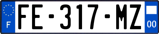 FE-317-MZ
