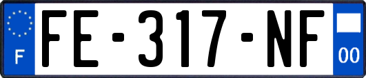 FE-317-NF