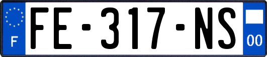 FE-317-NS