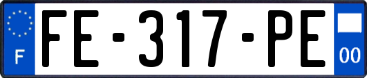 FE-317-PE