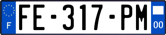 FE-317-PM