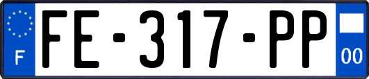 FE-317-PP