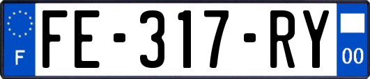 FE-317-RY
