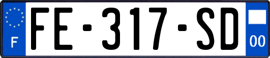 FE-317-SD