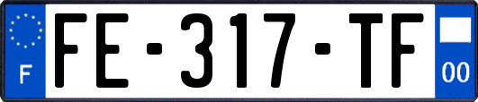 FE-317-TF