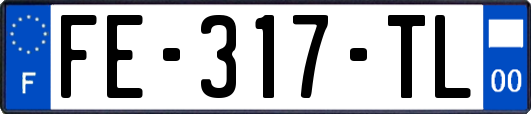 FE-317-TL