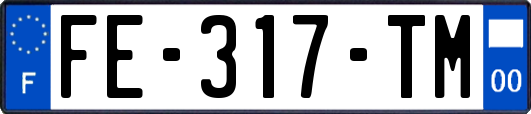 FE-317-TM